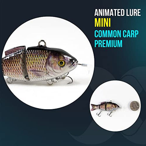 Animated Lure Mini (Common Carp Premium)