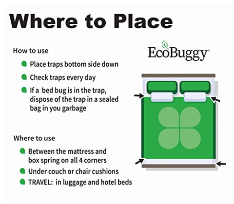 EcoBuggy Bed Bug Trap - Pack of 12