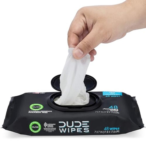 DUDE Wipes - Flushable Wipes (1 Pack, 48 Wipes)