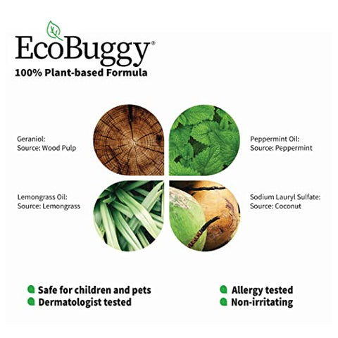 EcoBuggy Bed Bug Trap - Pack of 12