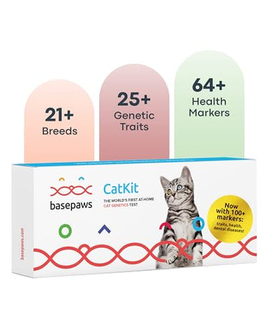 Basepaws - Cat DNA Test Kit