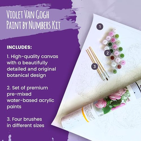 Pink Picasso Kits Violet Van Gogh Paint by Number - Wall Art Kit