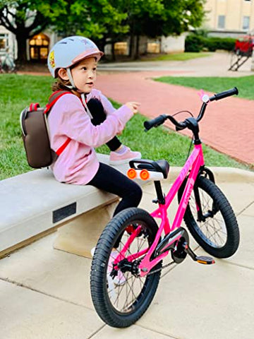 Royalbaby EZ Kids Bike, 18 Inch Balance Pedal, Pink