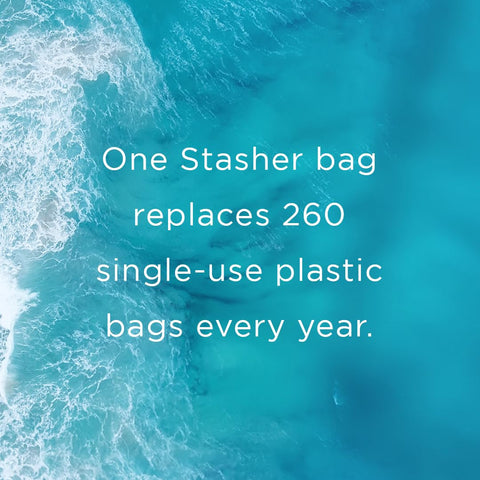 Stasher Reusable Silicone Storage Bag, Pocket 2-Pack, Clear + Aqua