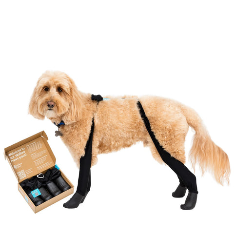 Walkee Paws Deluxe Easy-On Stay-On Dog Boot Leggings, Black, Small/Medium