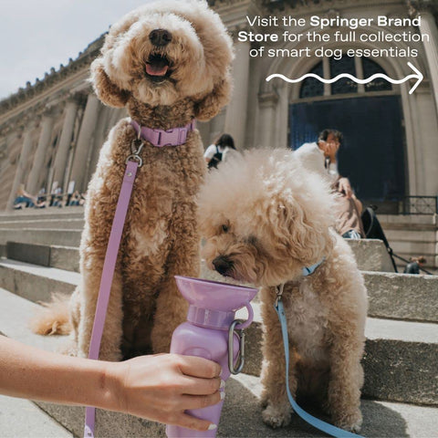Springer Dog Water Bottle, Portable Travel Dispenser, Lilac