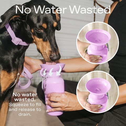 Springer Dog Water Bottle, Portable Travel Dispenser, Lilac