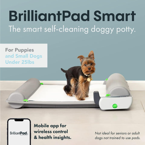 BrilliantPad Smart Indoor Dog Potty for Small Pets