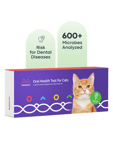Basepaws - Cat Dental Health Test