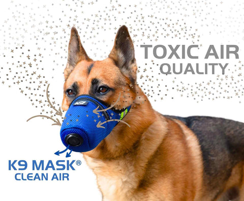 K9 Mask® Air Filter Mask for Dogs, Blue (Large)