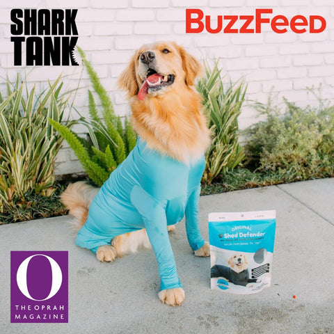 Shed Defender Original Dog Onesie, Recovery Suit