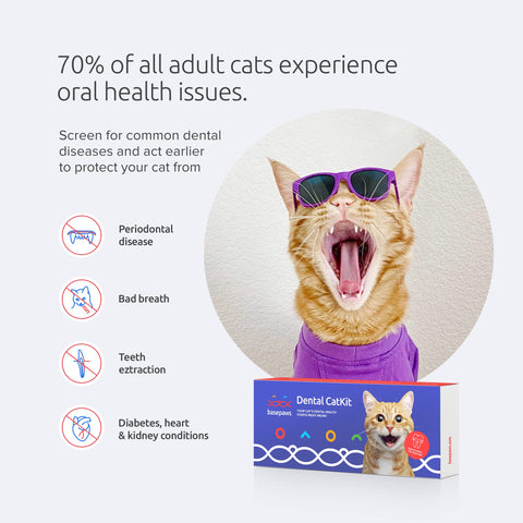 Basepaws - Cat Dental Health Test